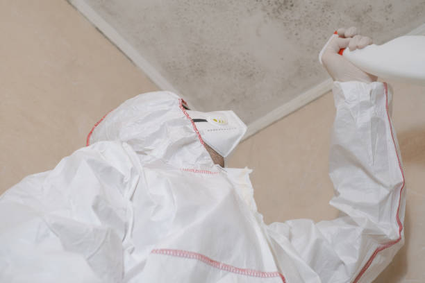 Certified Mold Removal in Maricopa, AZ